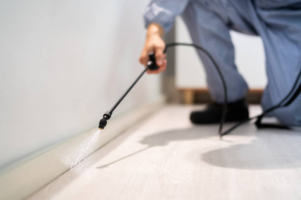 Professional exterminator conducting IPM assessment in Lovettsville